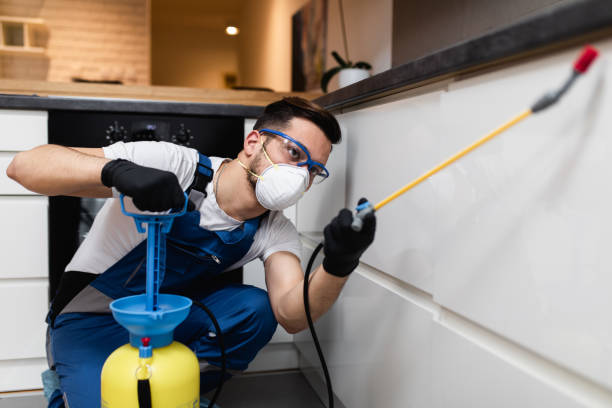 Pest Control for Restaurants in Ronan, MT
