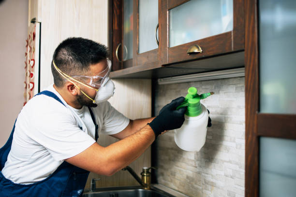 Best Pest Control for Restaurants  in Ronan, MT