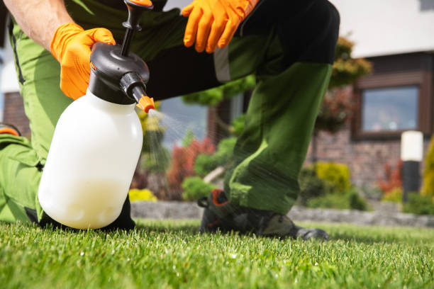 Best Pest Control Near Me  in Ronan, MT