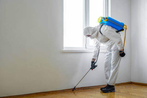 Best Pest Control for Homes  in Ronan, MT