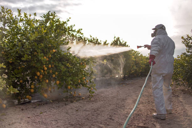 Best Best Pest Control Companies  in Ronan, MT
