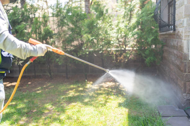 Best Wasp Removal Services  in Ronan, MT