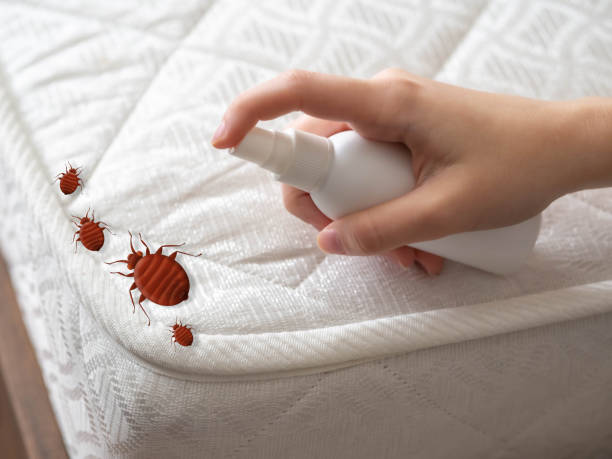 Best Pest Inspection Near Me  in Ronan, MT