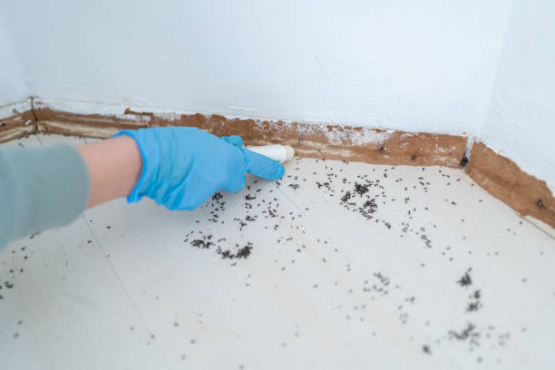 Best Pest Removal Services  in Ronan, MT