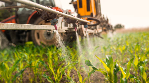Best Commercial Pest Control Services  in Ronan, MT